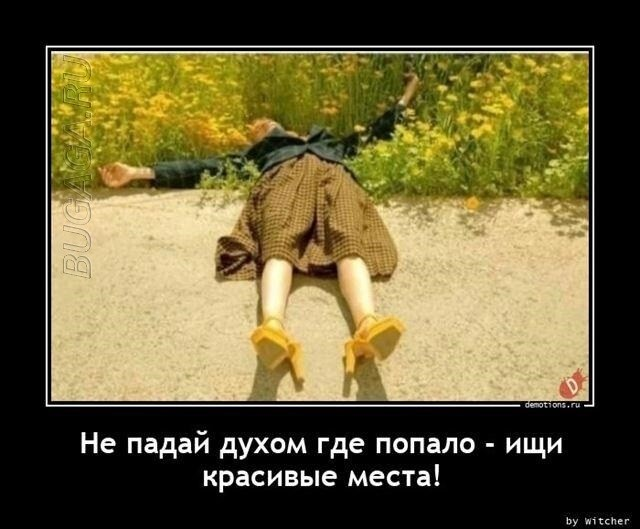 Демотиваторы для всех: «Не падай духом где попало…»