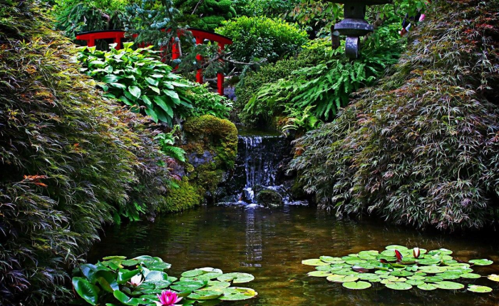 Идеи для сада: простые и оригинальные варианты (65 фото)