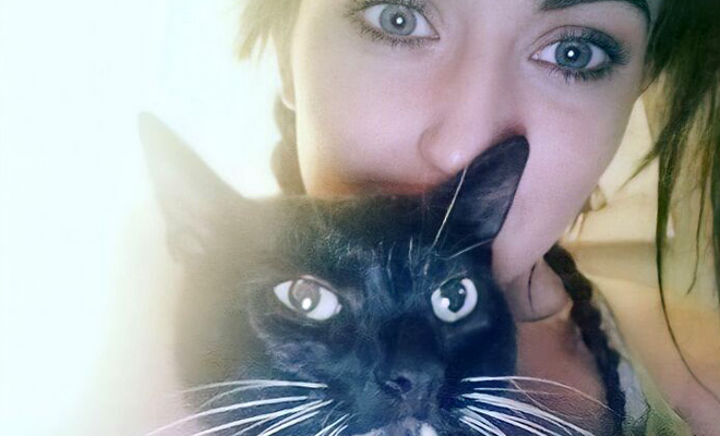 Женщина решила проследить, где гуляет ее кошка. Она надела трекер и обнаружила, что кошка приходит еще в 5 домов