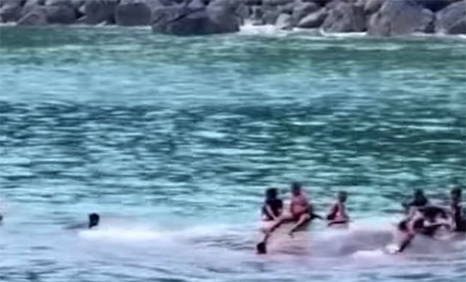 Видео из деревни в Индонезии. Дети плавают с гигантским кашалотом и катаются со спины как с горки