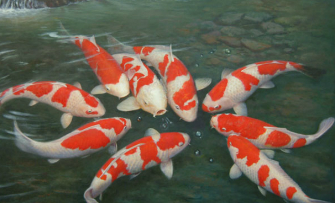 10 существ живущих гораздо дольше человека