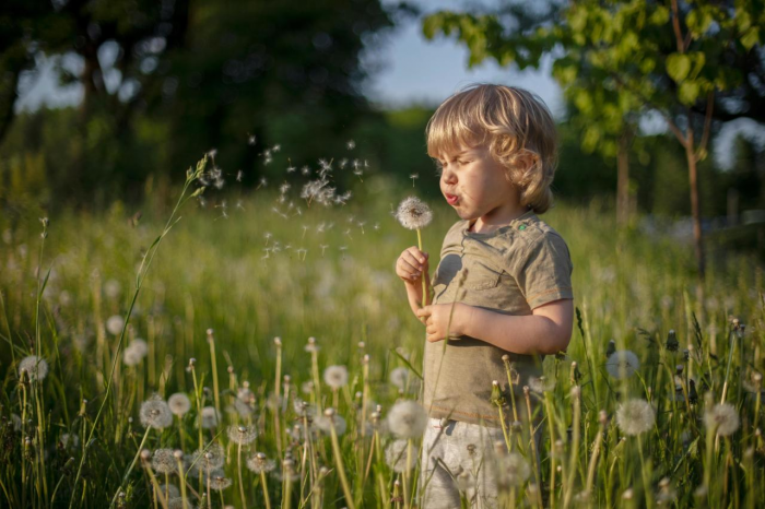 Как весной подготовить дачу к приезду детей: 13 вещей, которые нужно сделать уже сейчас