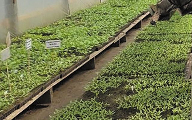 Кубань аграрная. Будь проще — и люди к тебе потянутся