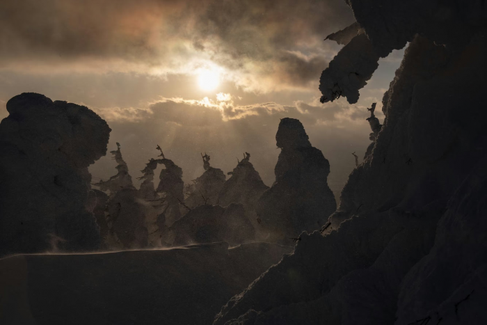 Снежные монстры горы Зао