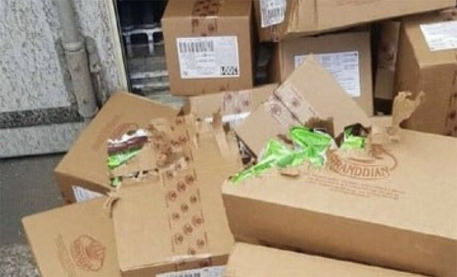 Одесская кошка пробралась в грузовой контейнер и приехала в Израиль: три недели питалась конфетами