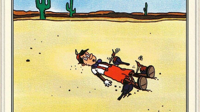 13 самых смешных картинок недели и подпись Дональда Трампа