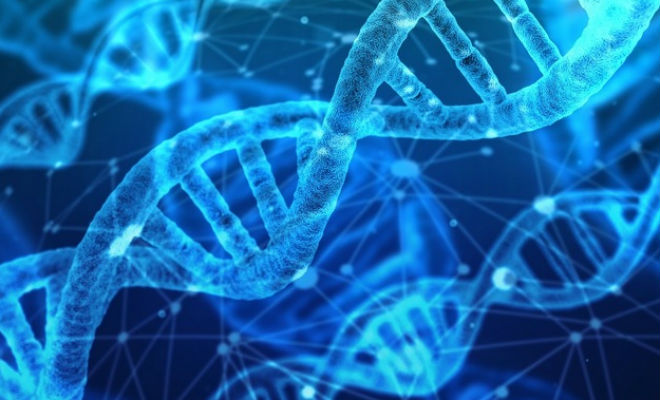 В генах африканцев нашли след неизвестного науке типа людей