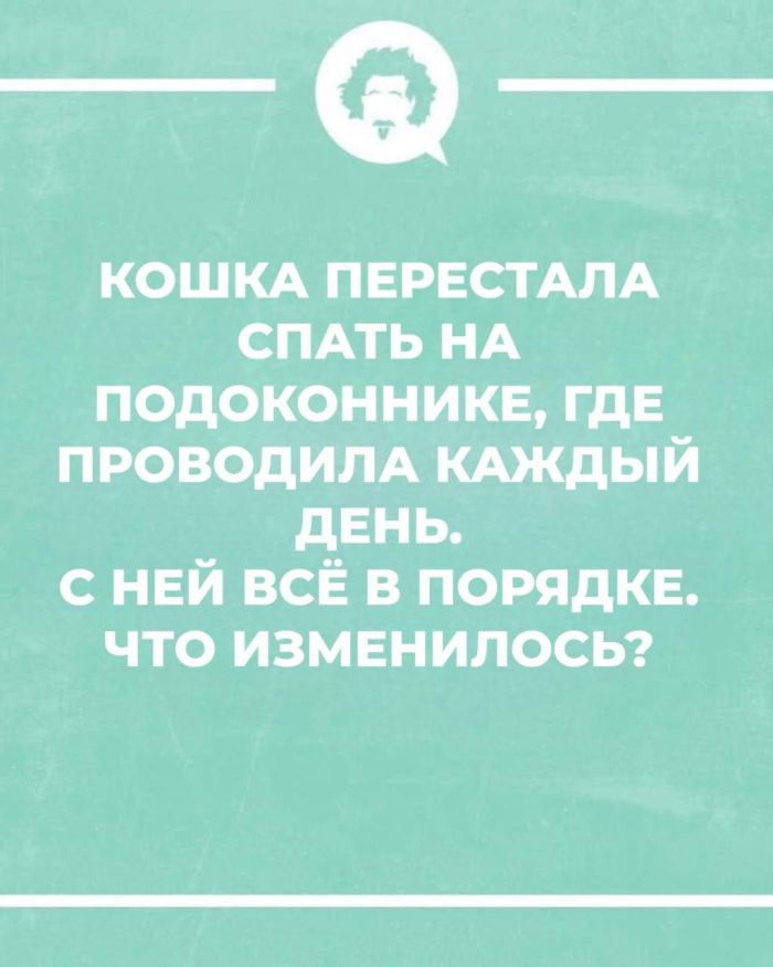15 логических загадок: где подвох?