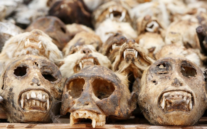 Культ Вуду: вся правда о мрачном наследии шаманов