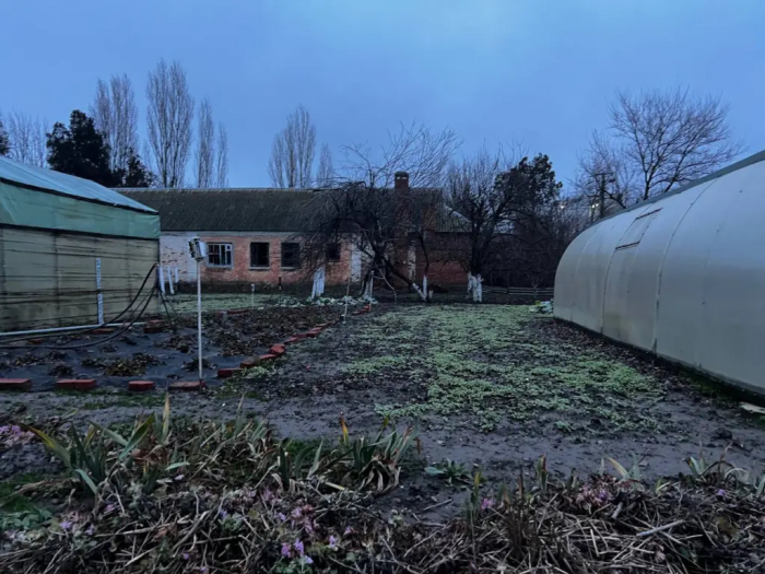 Навоз отдыхает: сыпьте это в землю в марте — к маю грядки вздохнут как впервые