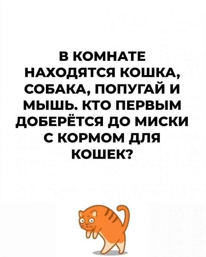 Как развить нестандартное мышление: 15 загадок на логику