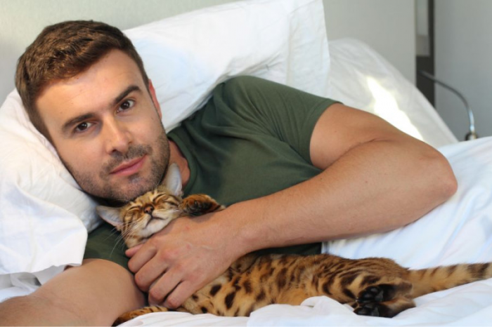 Как кошки выбирают с кем спать?