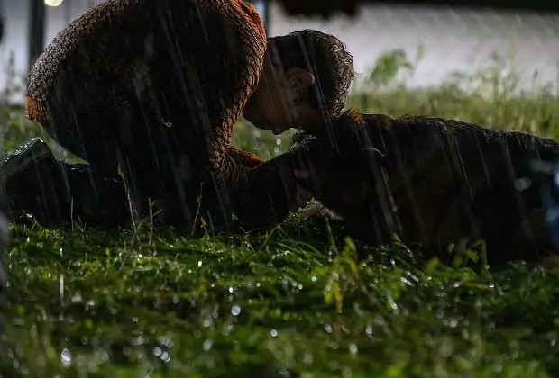 Лучшие фильмы про животных: 15 кинолент с высоким рейтингом