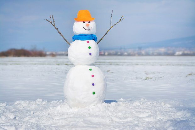 Что слепить из снега с детьми? 10 идей снежных фигур