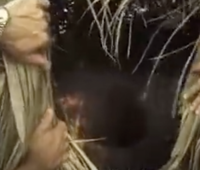 Индеец 32 года живет один в доме-яме: самый одинокий человек на планете