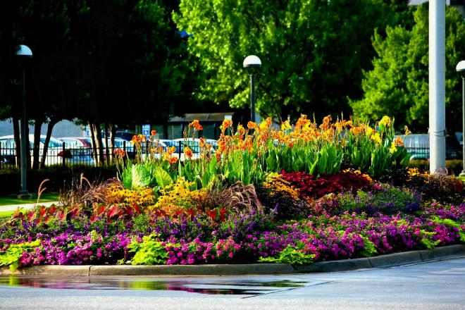 Палисадник перед домом: размер, стиль, выбор растений (80 фото)