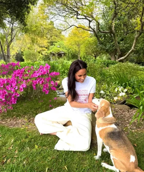 Бренд Balenciaga заплатил Меган Маркл 250 тысяч долларов, чтобы она посетила их показ