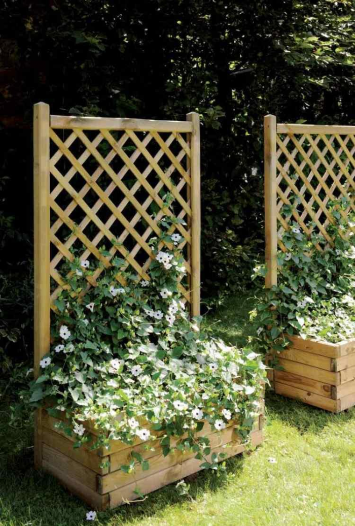 Клумба для дачи: как своими руками создать цветочный оазис (60 фото)