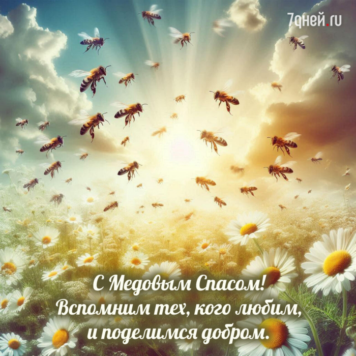 25+ открыток и картинок на Медовый Спас 2026: красивые поздравления с добрым смыслом