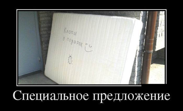 Демотиваторы для всех: «Не падай духом где попало…»