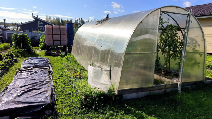 Как спланировать огород: севооборот, правильное соседство и требования растений