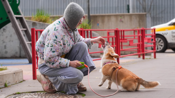 Самая древняя связь: дружба между собаками и людьми существует более 15 тысяч лет