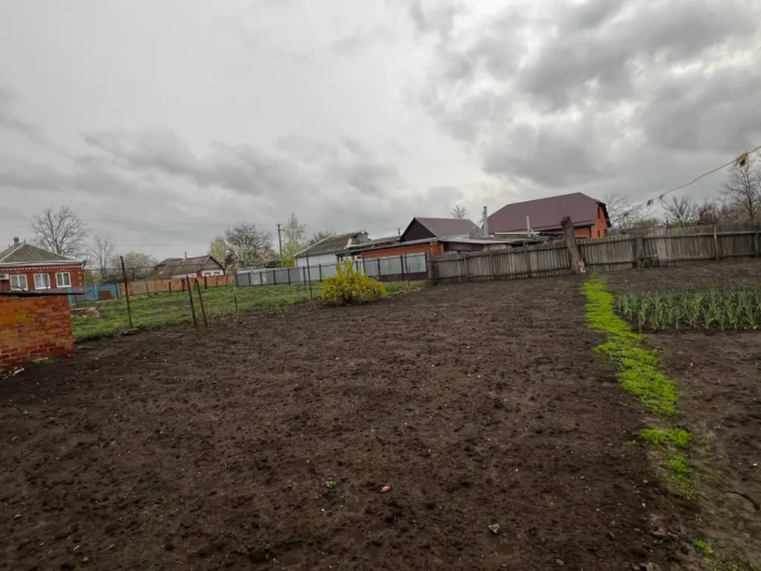 Дешевая крупа вместо дорогих удобрений: как за один сезон превратить землю в чернозем