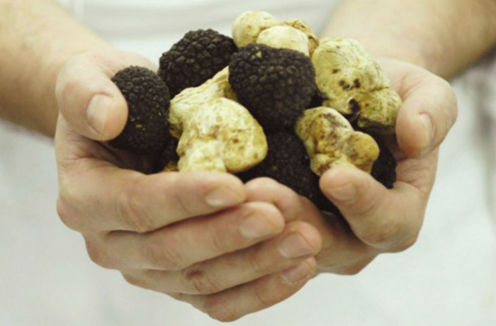 Это самая дорогая еда в мире