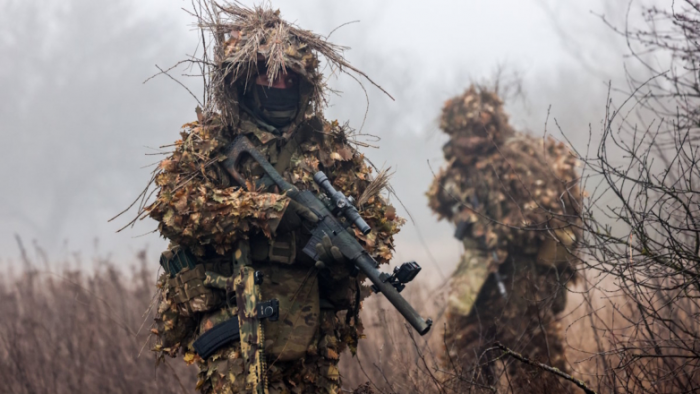 Как изменится расчет стажа для участников СВО в Белгородской, Брянской и Курской областях
