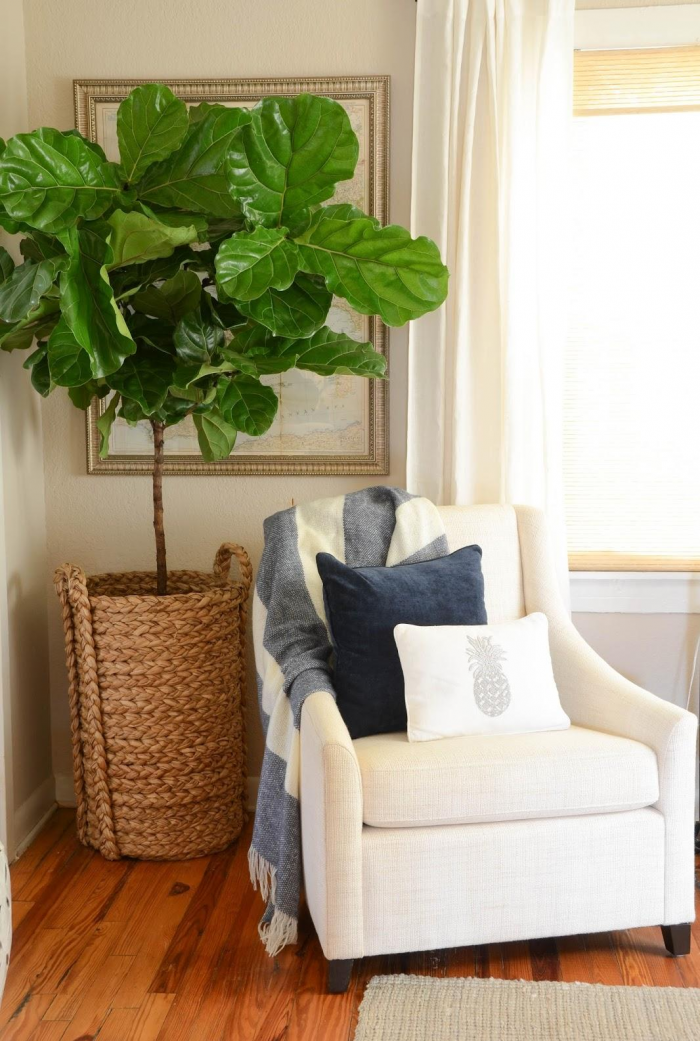 Декор углов (65 фото)