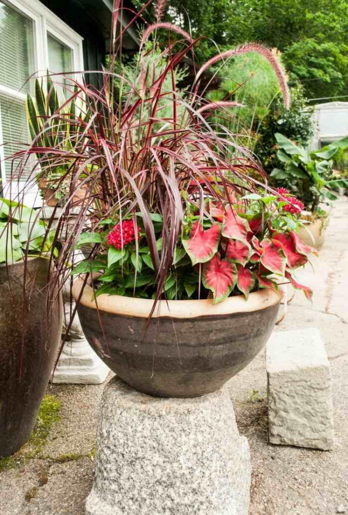 Идеи для сада: простые и оригинальные варианты (65 фото)