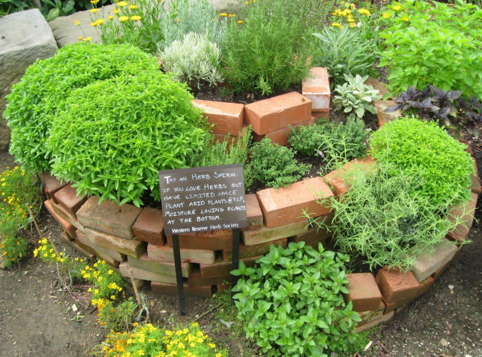 Идеи для сада: простые и оригинальные варианты (65 фото)