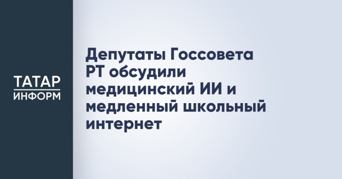 Депутаты Госсовета РТ обсудили медицинский ИИ и медленный школьный интернет