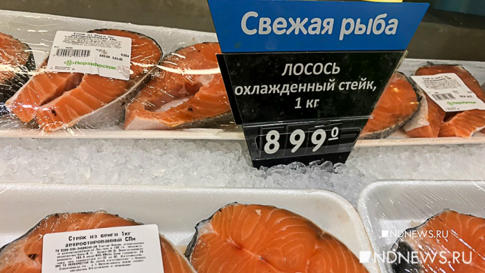 Нерестилища пустые, лосося нет – Дальний Восток бьет тревогу из-за заслонов в устьях рек