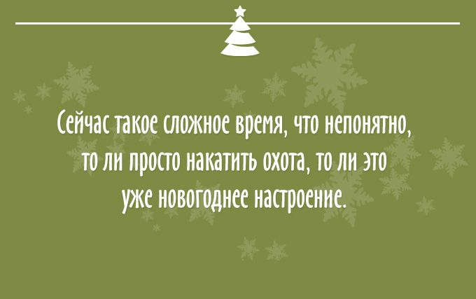 Про Новый год! И новогоднее настроение (22 картинки)