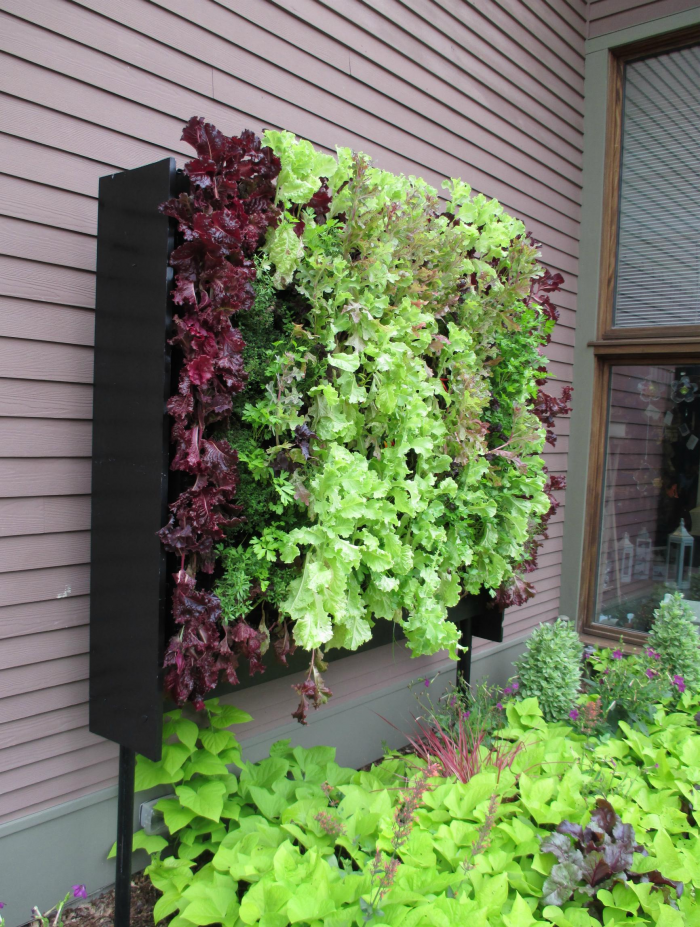 Идеи для сада: простые и оригинальные варианты (65 фото)