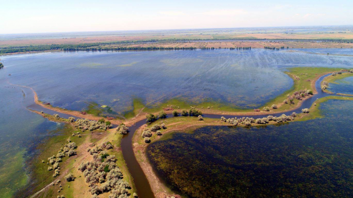 Воды ждем больше нормы, но насколько? Сергей Шипулин – об уровне половодья и нересте рыбы