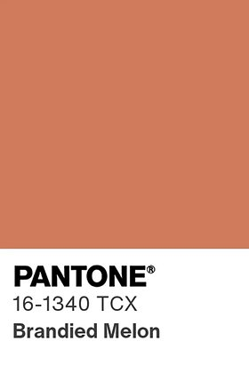 Цвет 2026 года по версии Pantone: какие цвета будут в тренде и как их носить?