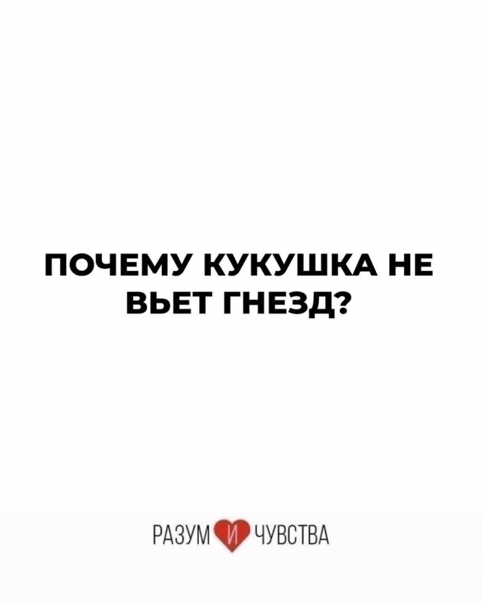 Не дай мозгу обмануть тебя: 15 загадок на логику