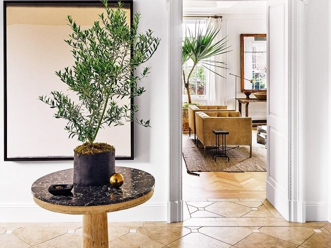 Комнатные растения в интерьере квартиры (112 фото)