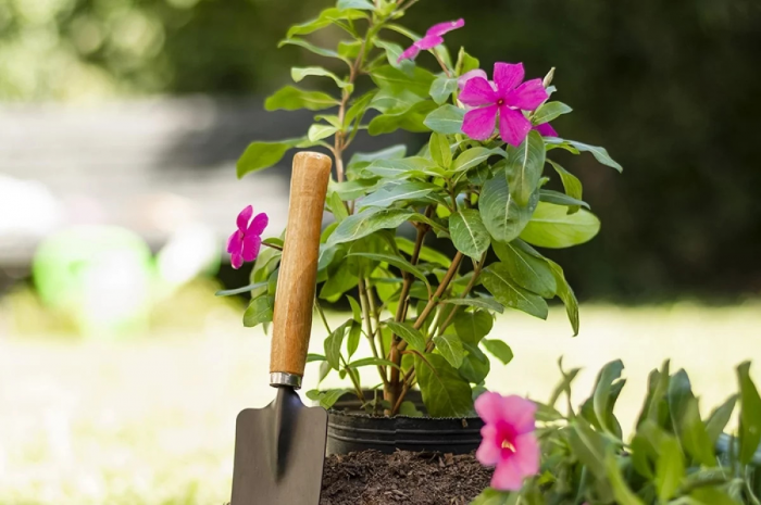 Россиянам рассказали, что нужно проверить на даче после зимы