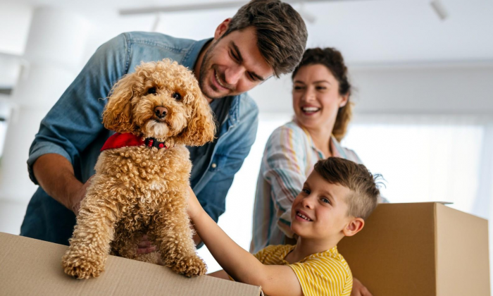 Топ-10 пород собак для семей, в которых есть дети