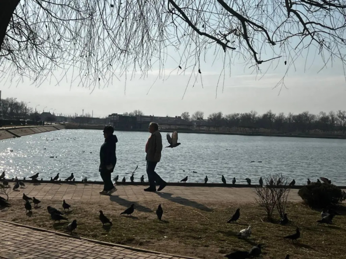 Надбавка для всех пенсионеров 1945–1965 годов: как её оформить без мороки и кучи справок и какую сумму можно получить