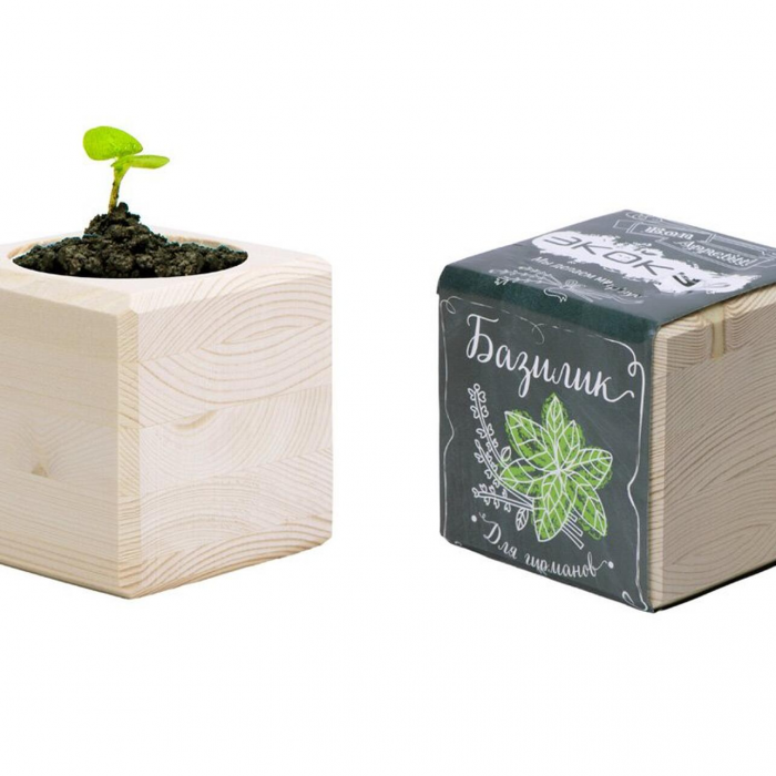 Декор до 1000 рублей: 10 стильных вещей без лишних затрат