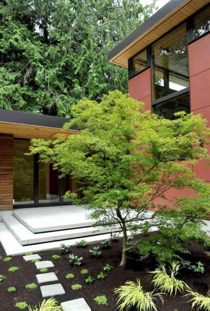 Неприхотливые декоративные кустарники в ландшафтном дизайне: фото и описания (56 фото)