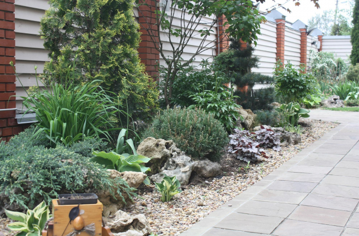 Неприхотливые декоративные кустарники в ландшафтном дизайне: фото и описания (56 фото)