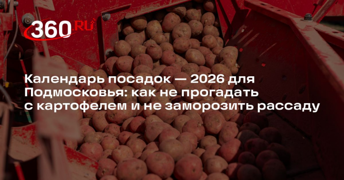Синоптик Ильин рассказал, можно ли сажать картошку в Подмосковье на майских