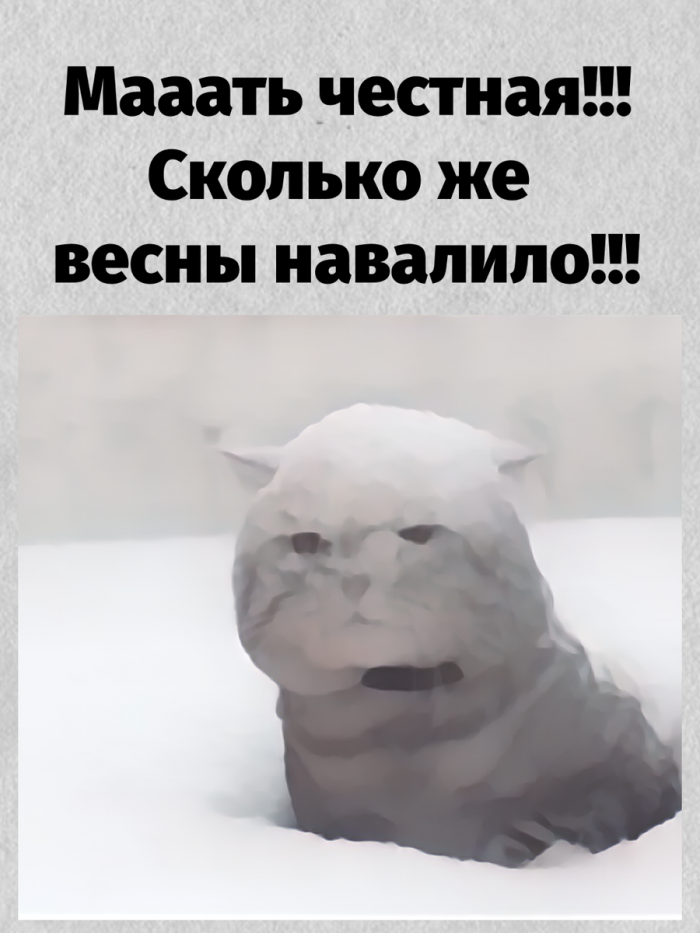 Юмор, шутки, весёлые истории про нас, самых лучших