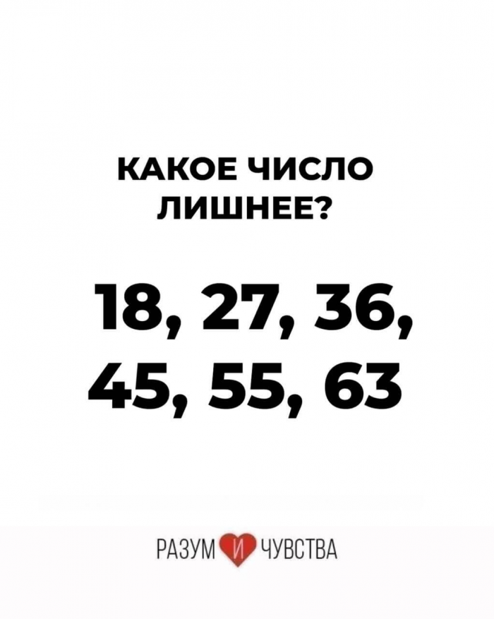 Только внимательные разгадают все 15 загадок