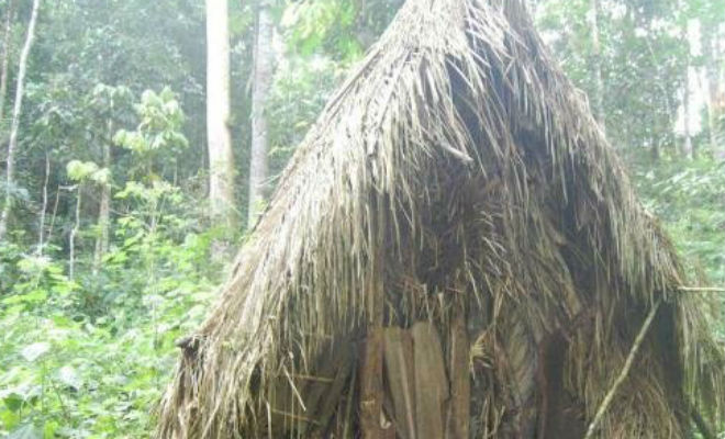 Индеец 32 года живет один в доме-яме: самый одинокий человек на планете